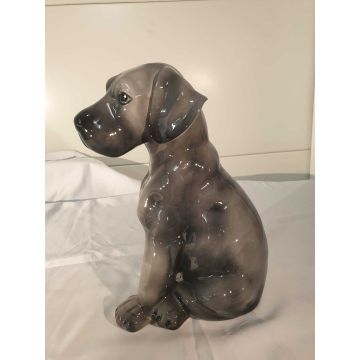 Great Dane puppy sitting 29 cm blue