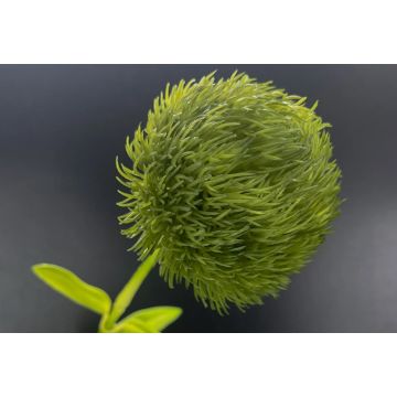 Kunstblume Seeigel-Blume ca.50cm wie echt, grün