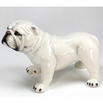 Figurine en porcelaine Bulldog debout 42x30cm blanc