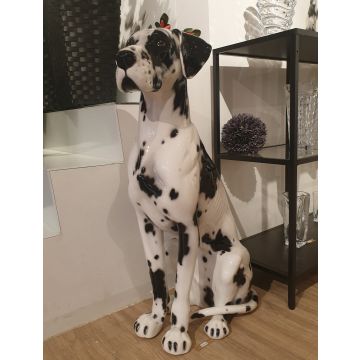 Deutsche Dogge sitzend 92 cm schwarz/gefleckt