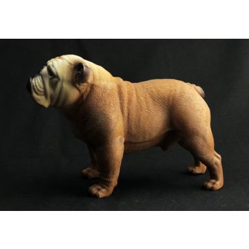 English Bulldog Figur 17x9x13cm