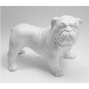 Bulldog figurine en porcelaine debout 30x25cm tout blanc
