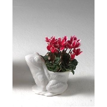 Flower pot frog, ceramic 21 cm in white