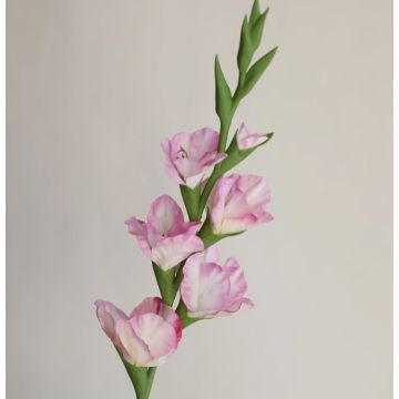 Kunst Gladiole ca.87cm, weiss-rosa, wie echt/Stück, real touch
