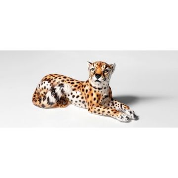 Cheetah lying 47x22cm natural look - February '24 available again