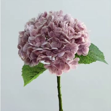 Hortensie Kunstblume lila-rosa wie echt 53cm