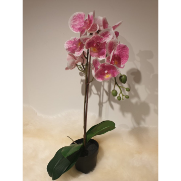 Orchidee rosa im Topf, 48 cm, Kunstpflanze, Kunstorchidee