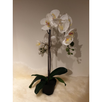 Orchidee weiss im Topf, 48 cm, Kunstpflanze, Kunstorchidee
