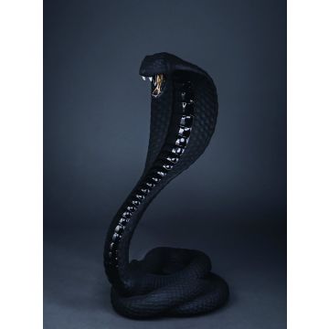 Figurine de cobra en porcelaine 76cm noir mat (photo suit)