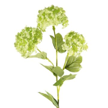 Hortensia des bois Fleur artificielle, vert 65-75 cm