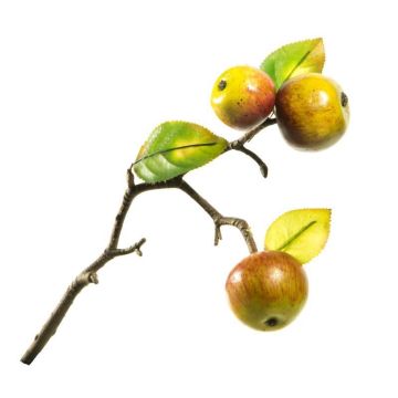 Pomme branche, ca 20 cm, plante artificielle, pomme artificielle