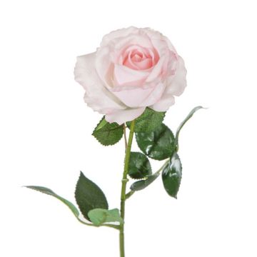 Roses rose clair Fleur artificielle 68-70cm comme une vraie, real touch, Premium (soie/silicone)