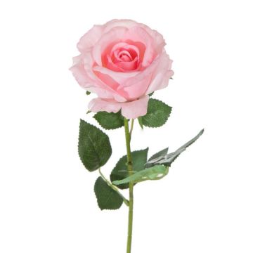 Roses pink artificial flower 68-70cm like real, real touch, premium (silk/silicone)