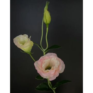 Kunstblume Lisianthus ca.67cm wie echt, weiss-rosa