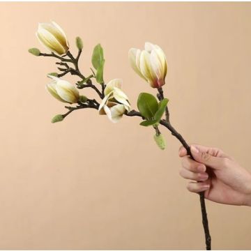 Magnolia, artificial flower, magnolia branch, 68cm green/white