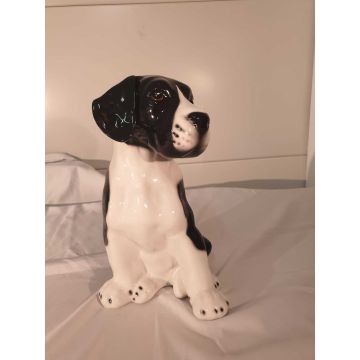 Great Dane puppy sitting 29 cm coat