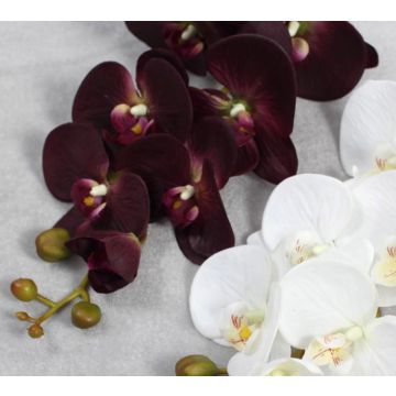 Orchidee Stengel bordeaux, 100cm, Kunstpflanze, Kunstorchidee