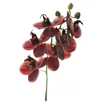 Orchidee Stengel rosa-bordeaux-rot, 70cm, Kunstpflanze, Kunstorchidee