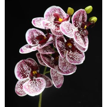 Orchidée tige blanc-bordeaux-rouge, 70cm, plante artificielle, orchidée artificielle