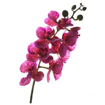 Orchidee Stengel rosa/lila, 78cm, Kunstpflanze, Kunstorchidee