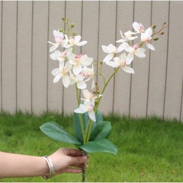 Orchidee Pflanze creme, 55cm, Kunstpflanze, Kunstorchidee