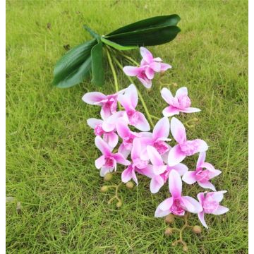 Orchidee Pflanze weiss-rosa, 55cm, Kunstpflanze, Kunstorchidee