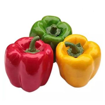 Artistic peppers, approx. 8cm Set:3xpcs, like real