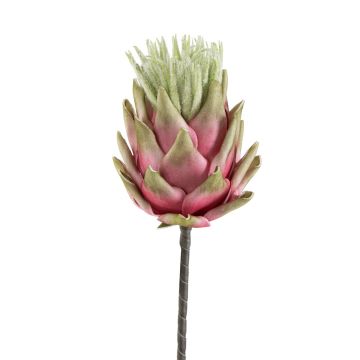 Kunstblume Protea ca.60cm wie echt, rosa-grün