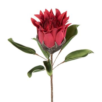 Kunstblume Protea ca.76cm wie echt, rot