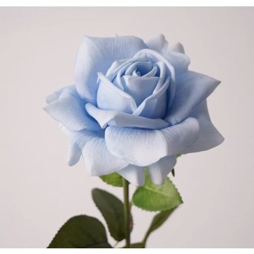 Rose blu artificiali 13x77 cm, come vere, real touch Premium (seta/silicone)