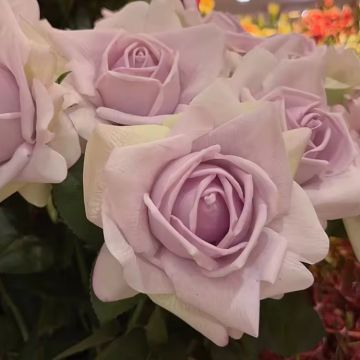 Rose viola e bianche artificiali 13x77 cm, come vere, real touch Premium (seta/silicone)