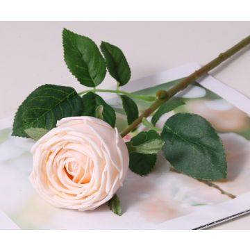 Rose Champagner Kunstblume 7x43cm, wie echt, real touch Premium (Seide/Silikon)