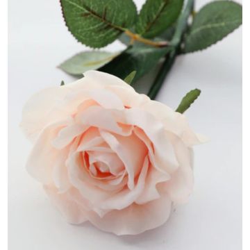 Roses en champagne light Fleur artificielle 13x77cm, comme une vraie, real touch Premium (soie/silicone)