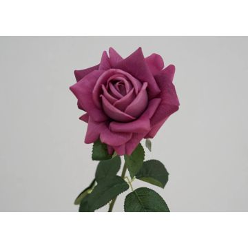 Rosen in violett Kunstblume 13x77cm, wie echt, real touch Premium (Seide/Silikon)
