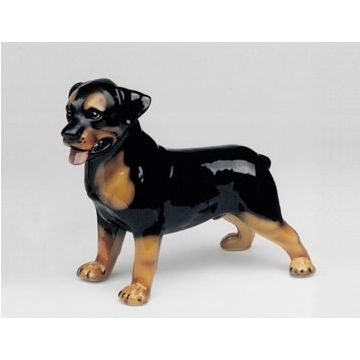 Figurine en porcelaine de Rottweiler debout 36cm x 31cm