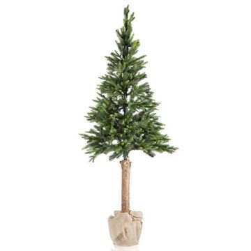 Christmas tree green, 220cm, natural - wooden trunk, Christmas decoration - exhibition model