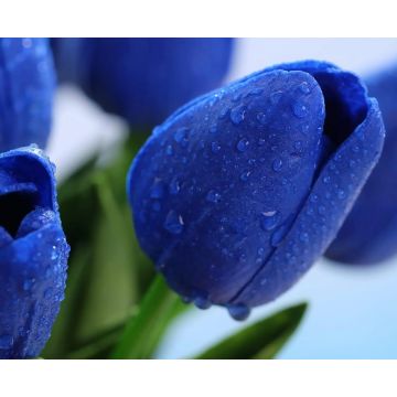 Tulpen blau Kunstblume 32cm, wie echt/Stück, real touch