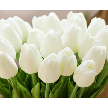 Tulipes blanches fleur artificielle 36cm, comme des vraies/pièce, real touch