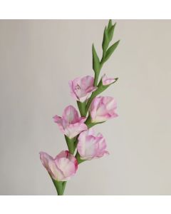 Kunst Gladiole ca.87cm, weiss-rosa, wie echt/Stück, real touch
