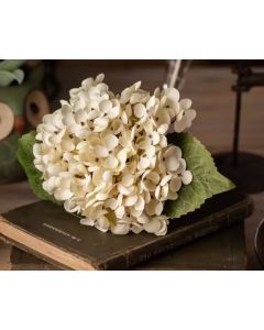 Hortensie Kunstblume ecru natürlicher Look 32cm wie getrocknet